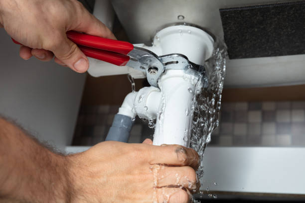 Best Sewage cleanup and water damage restoration  in Sheffield, OH