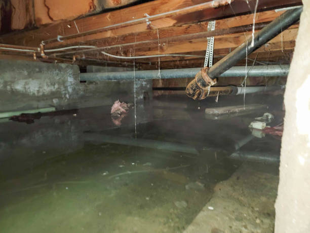  Sheffield, OH Water damage restoration Pros