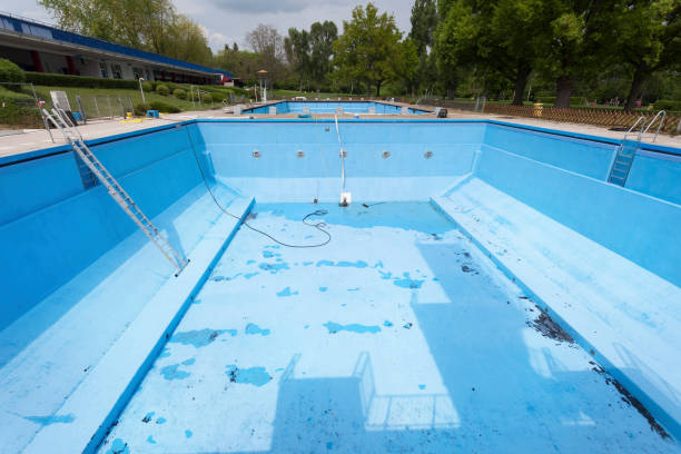 Best Mold removal after water damage  in Sheffield, OH