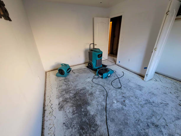 Best Basement water damage restoration  in Sheffield, OH