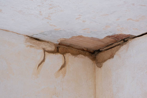 Best Residential water damage restoration  in Sheffield, OH