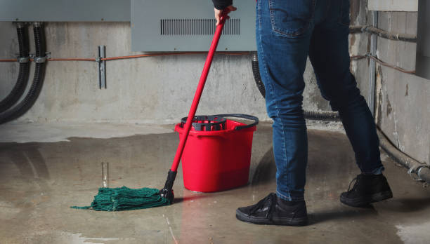 Best Local water damage restoration  in Sheffield, OH