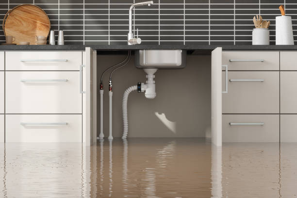 Best Water damage restoration insurance claims  in Sheffield, OH