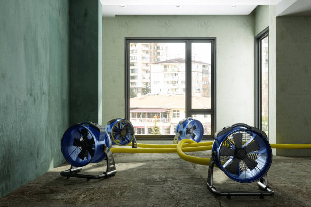 Best Commercial water damage restoration  in Sheffield, OH