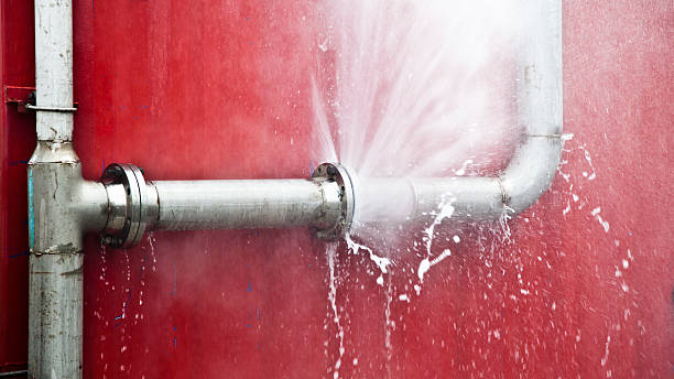 Best Professional water damage repair  in Sheffield, OH