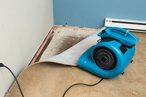  Sheffield, OH Water damage restoration Pros